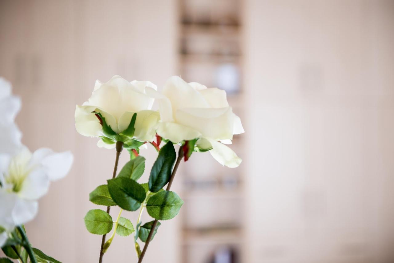 Top Floor Modern Studio In Central Koropi Apartment Ngoại thất bức ảnh